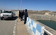آبگیرها و زیستگاههای پرندگان مهاجر شهرستان سیرجان ماهانه توسط دامپزشکی پایش می شوند