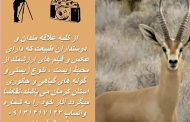 مسابقه عکاسی با موضوع طبیعت و محیط زیست استان کرمان