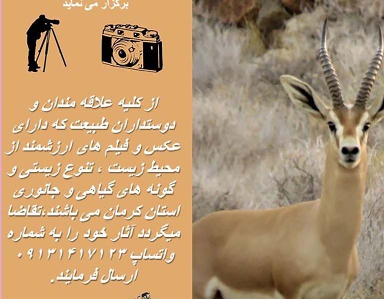 مسابقه عکاسی با موضوع طبیعت و محیط زیست استان کرمان