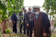 افتتاح دو طرح کشاورزی و دامپروری در نرماشیر در ایام الله دهه فجر