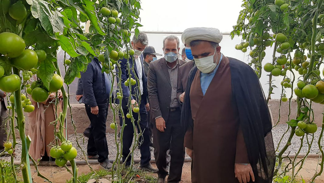 افتتاح دو طرح کشاورزی و دامپروری در نرماشیر در ایام الله دهه فجر