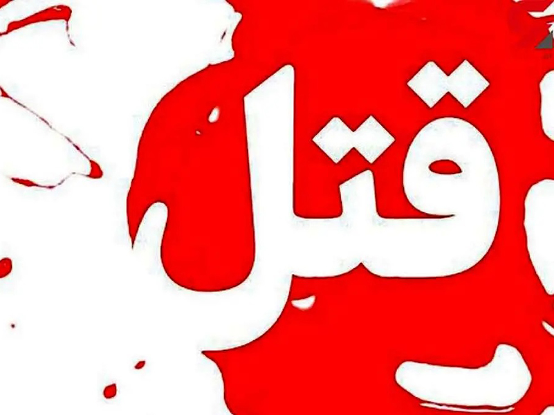قاتل فراری تحویل دستگاه قضا داده شد