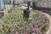 ️ خدمت‌رسانی به شهروندان بی‌وقفه ادامه دارد