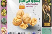 هفتمین جشنواره ملی گردو شهرستان بافت ۱۳ شهریور برگزار می‌شود