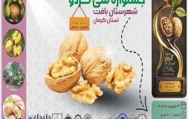 هفتمین جشنواره ملی گردو شهرستان بافت ۱۳ شهریور برگزار می‌شود