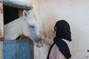 تسهیلگری در خصوص طرح حیوان درمانی برای فرزندان اتیسم درکرمان